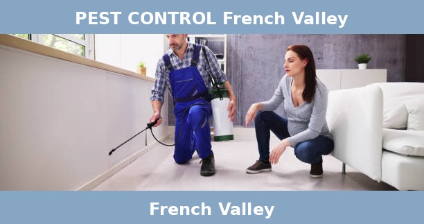 PEST CONTROL French Valley